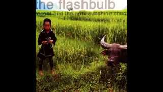 The Flashbulb - Fuck Jason (Pretendo Mix)