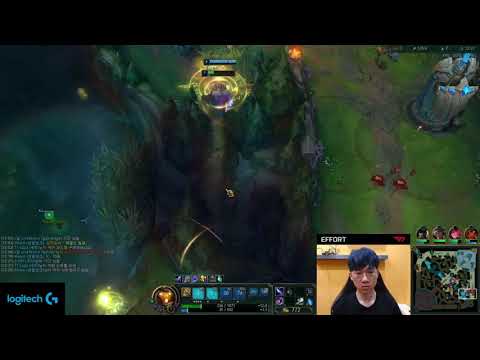 T1 #Effort Bard vs Yuumi_sup lane