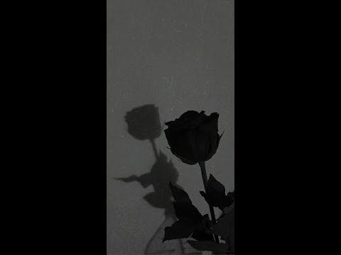 Dragana Zezelj, Boki Band i Dragan Djošal - Zaboravi ako mozes (spedup)