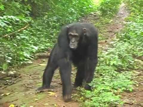 Ich weiß, was du nicht weißt