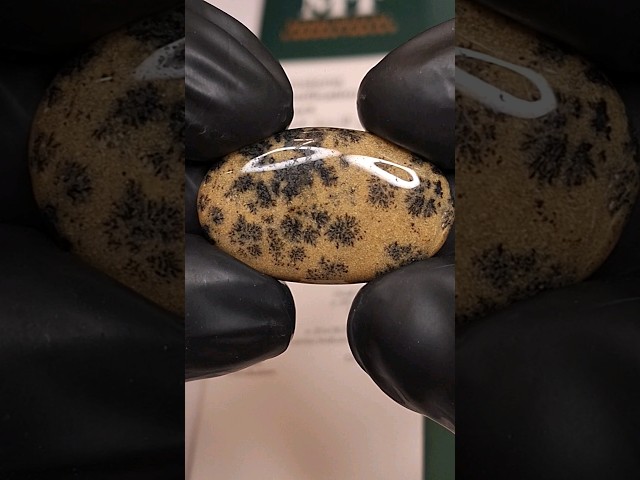 حجر عقيق مشجر طبيعي بشهادة مختبر