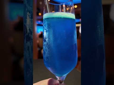 Thumbnail for Disney Vacation Club Member Celebration! - Disney Fantasy - Disney Cruise Line - @PapaBestDisney