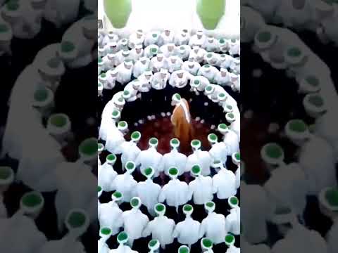 ✨ALLAH HU-ALLAH HU🤲 |Sirat-Al-Mustaqeem| #allah #zikir #shorts