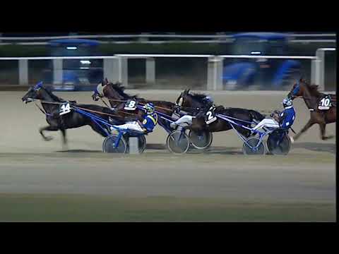 Napoli Trotto 25/08/2023 - 2ª corsa