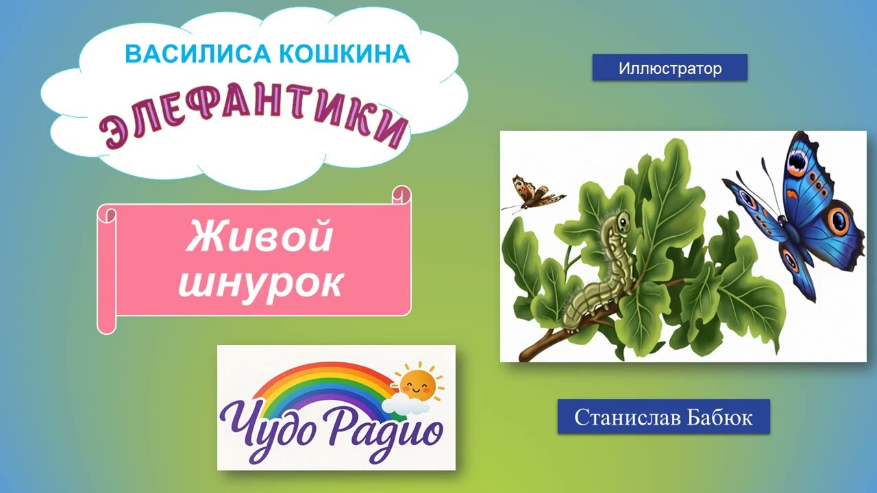 Живой шнурок. Элефантики. История 18