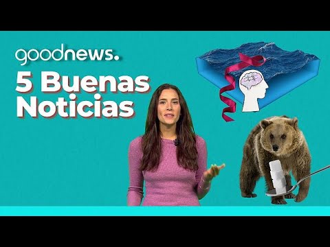 Buenas noticias: 90% del plástico de los océanos podría desaparecer y un avance para el Al…