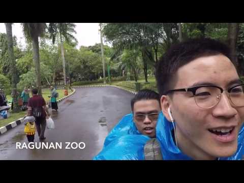 Alsa Conference 2017