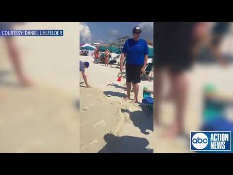 VIDEO: Deputies tell man to leave portion of public beach for trespassing following new beach law