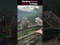 Ranking Monkey Funniest Reaction to Magic🙊🪄 #shorts #monkey #funny