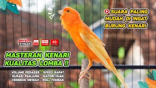 Download lagu 92 Points‼️ Best TRAINING SONG for CANARY - Your Canary SINGING Like CHAMPIONS mp3 Download lagu 92 Points‼️ Best TRAINING SONG for CANARY - Your Canary SINGING Like CHAMPIONS mp3