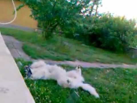 Rúna, kerge Rúna 2