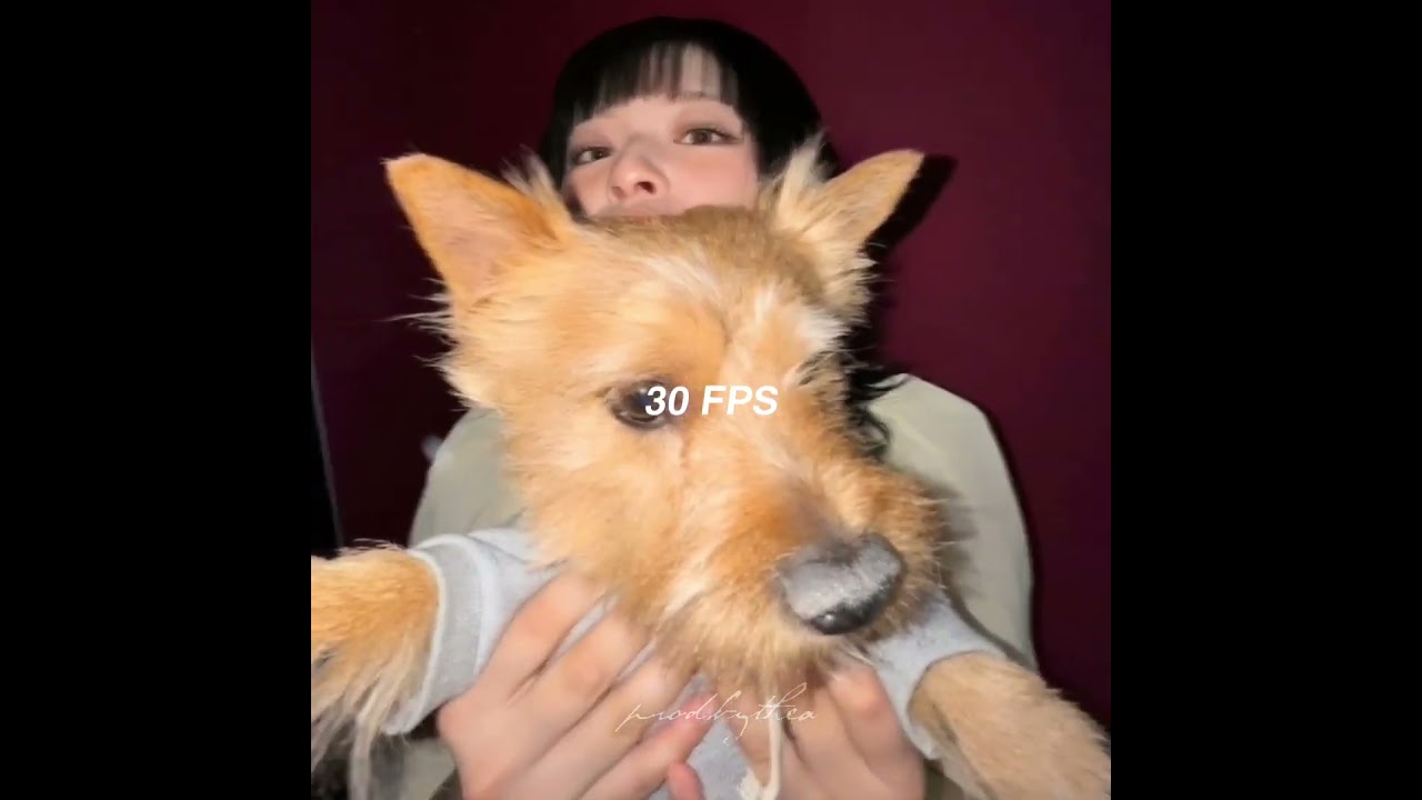 shake for transition (presets and xml file) | #alightmotion  #shorts #preset #fyp