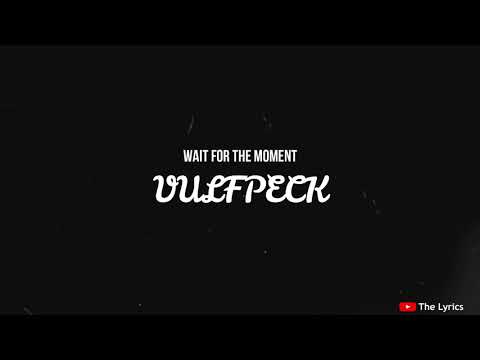 wait for the moment   vulfpeck Video Lyrics