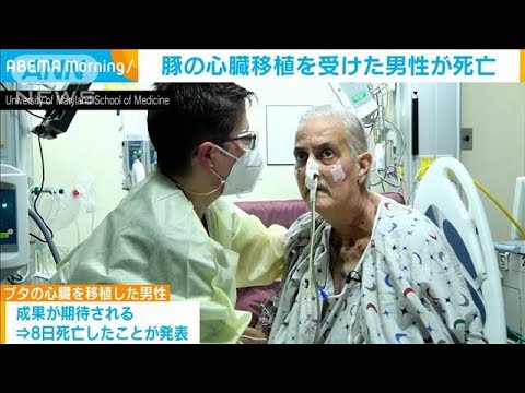 , title : '世界初のブタ心臓移植の男性死亡　手術から2カ月(2022年3月10日)'