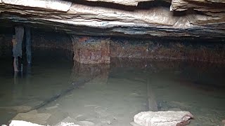 Strange Creature Swims in Sealed West Virginia House Coal Mine Re-Opened After 90 Years of Non-Use