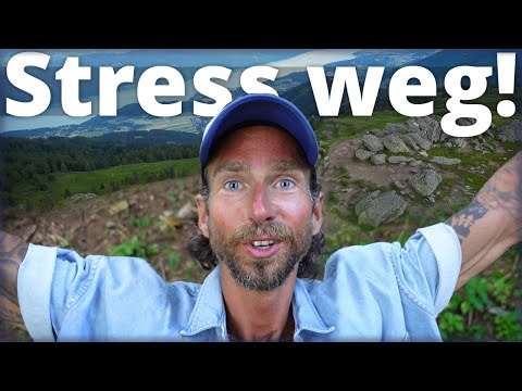 Stress weg, ganz natürlich! Diese Heilpflanze bringt dich auf ein neues Level!