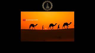 Download lagu Para Pencari Tuhan | Musafir | Album Ungu Religi #shorts #motivasiislami #motivasihidup #storywa mp3