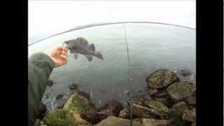 preview picture of video 'Oregon Coast Fly Fishing 5-2-12'