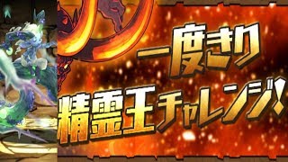 [단 한번의 정령왕 챌린지 3] 코마상 S pt.