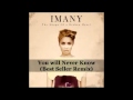 Imany - You Will Never Know [Best Seller Remix]