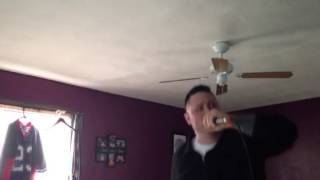 Bleed the sky MINION VOCAL COVER