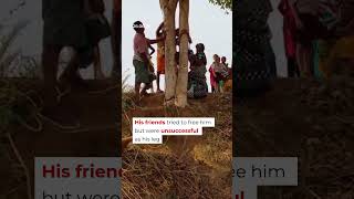 Boy Picking Jamuns Gets Stuck In The Tree For Hours | Mo of Everything