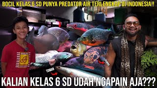 Download lagu BOCIL KELAS 6 SD PUNYA PREDATOR AIR TERLENGKAP DI INDONESIA!!! KALIAN KELAS 6 SD UDAH NGAPAIN AJA?? mp3 Download lagu BOCIL KELAS 6 SD PUNYA PREDATOR AIR TERLENGKAP DI INDONESIA!!! KALIAN KELAS 6 SD UDAH NGAPAIN AJA?? mp3