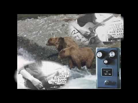 Browne Amplification T4 Fuzz Pedal image 2