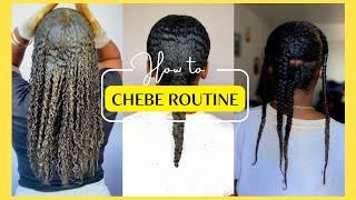14 Days with Chebe Powder in My Hair - How I Refre