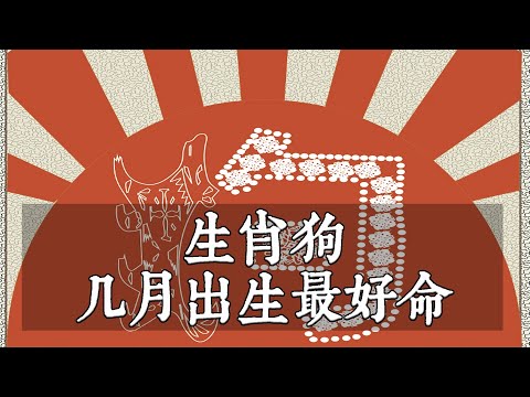屬狗幾月生好