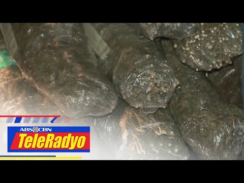 Nasa 30 kilo ng hinihinalang marijuana nasabat sa NLEX Headline Pilipinas (28 June 2023)