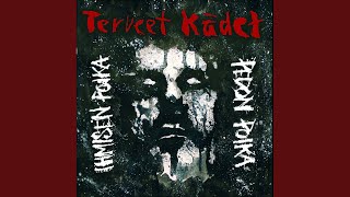 Todellisuuden toinen taso