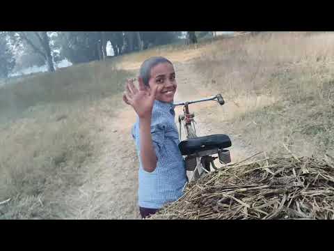 Chhota Sher ।। 🐯🦁#vlog 