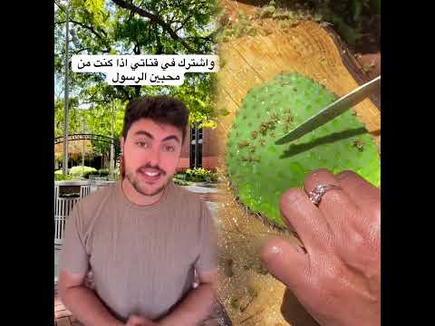 😂#student #studentlife #schoollife #school #teachers #teacherbelike