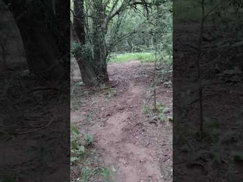 PERDIDOS EN EL TRAPICHE, San Luis #beautiful #travel #river #senderismo #nature #viajes #trekking