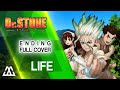 DR STONE Ending Full Life Cover