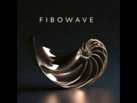 Video Fibowave