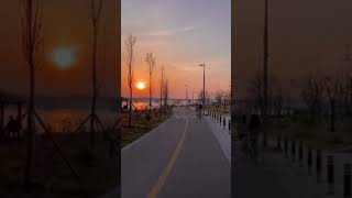 Download lagu Story wa sunset di pantai mp3 Download lagu Story wa sunset di pantai mp3