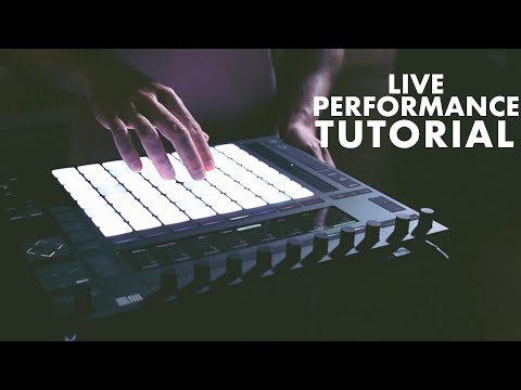 Max Wild Push 2 Performance Walkthrough