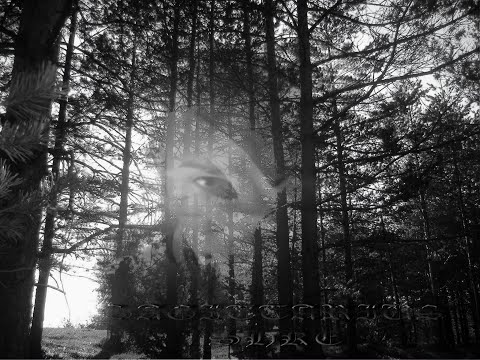 DoShke, Šmek Dedi, Gidra, Kruks - Daj Mi Reket (2006)