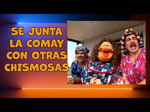 Minga & Petaca join La Comay!!! Now there's a real buzz in the Los Cocos neighborhood!!!