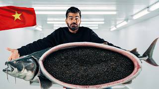 جربت أغلى أكله بالعالم - الكافيار وجبة الاثرياء !! ( 70,000$ ) Caviar ????????