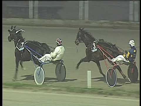 Trotto 16/01/2018 - 4ª corsa