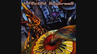 Music video thumbnail preview for Infected Mushroom - None Of This Is Real by Infected Mushroom