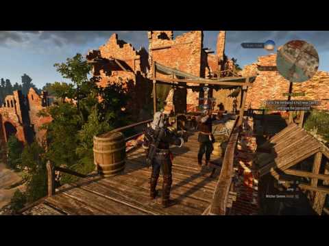 The Witcher 3  - This Nilfgaardian soldier carries infinite telescopes
