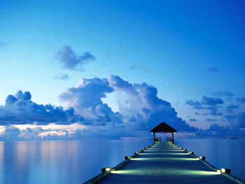 Czy ktoś widział dziub dziuba