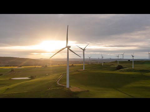 ZEN Energy: Committed to renewable solutions