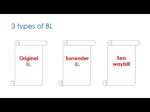 Original BL, Surrender BL or Telex Release, and Sea waybill