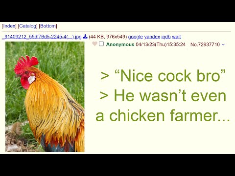 4Chan r/Greentext - Anon Compliments The Farmers Cock(rel)