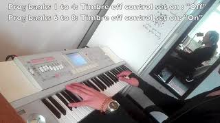 DIMMU BORGIR - Interdimensional Summit (keyboard cover by David Gutierrez Rojas)